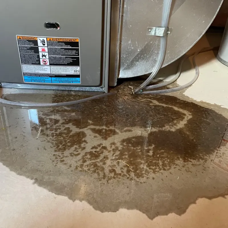 Appliance Leak Cleanup in Alamosa County, CO
