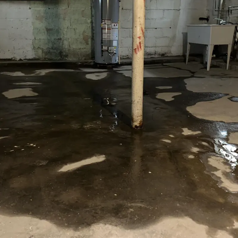 Emergency Water Extraction And Removal in Alamosa County, CO